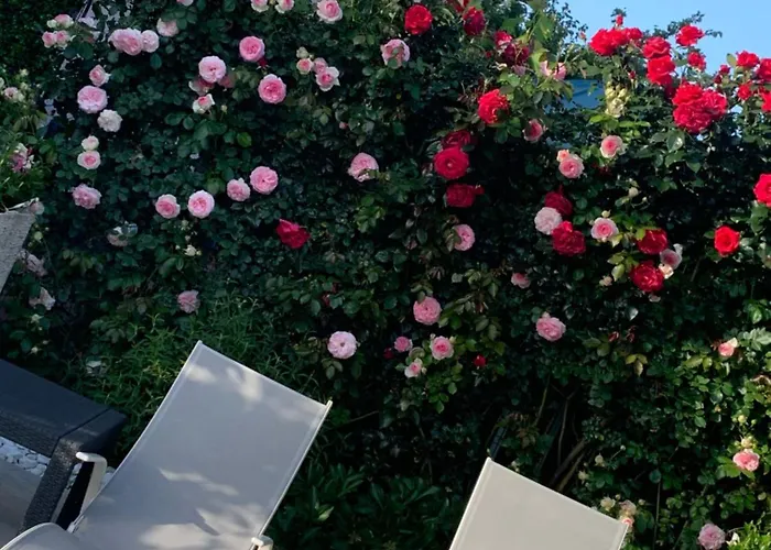 Fiordisole Holiday Home
