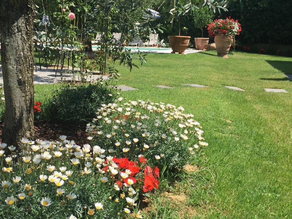 Fiordisole Holiday Holiday home Montopoli in Val d'Arno