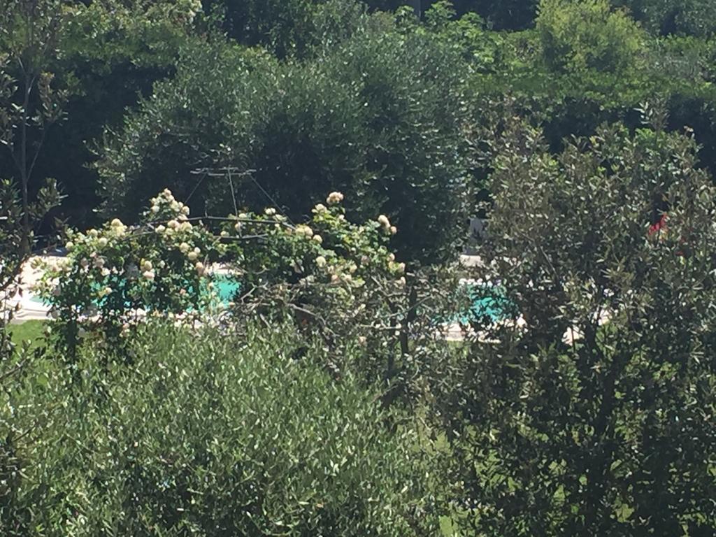 Fiordisole Holiday Holiday home Montopoli in Val d'Arno