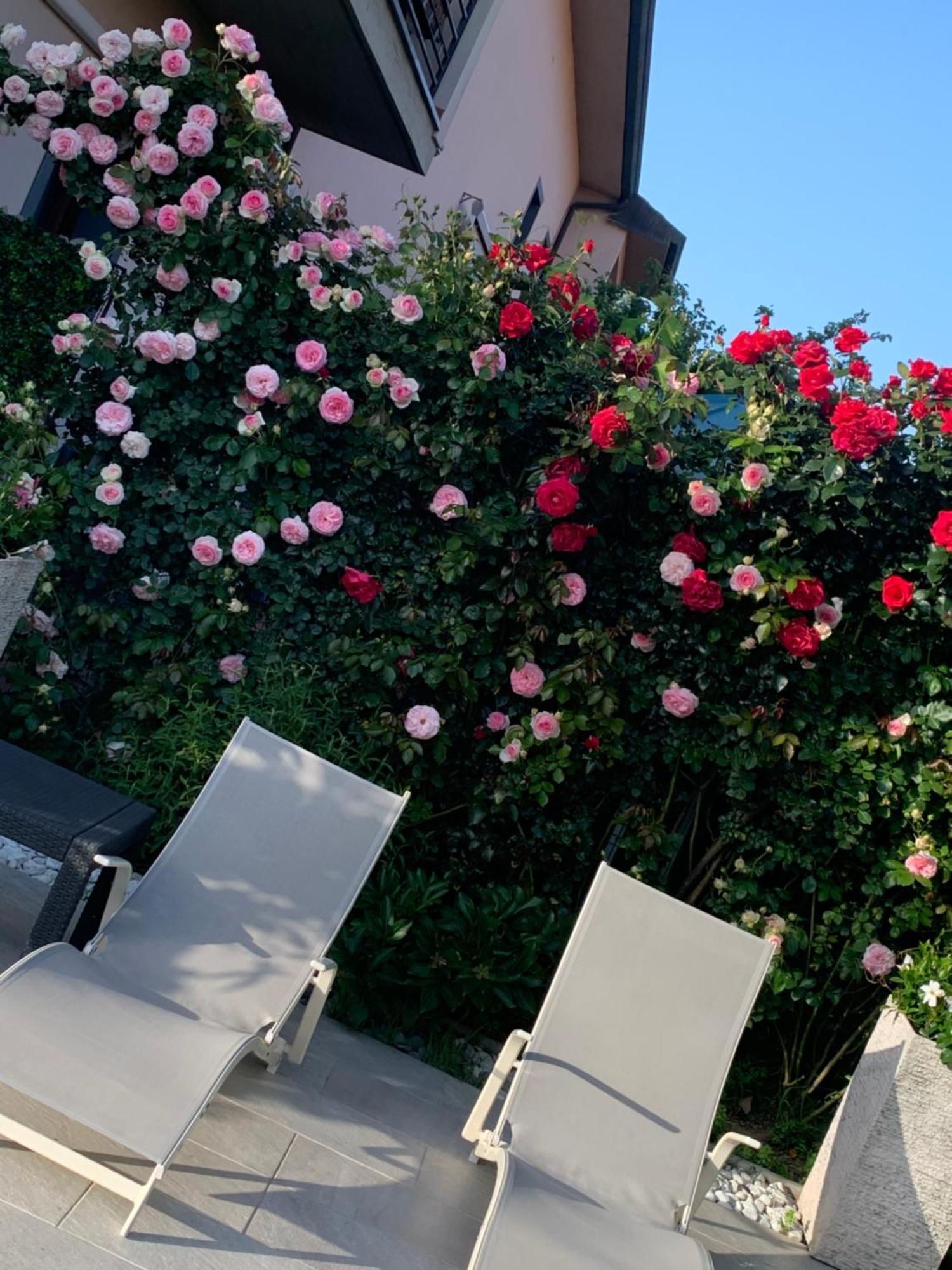 Fiordisole Holiday *